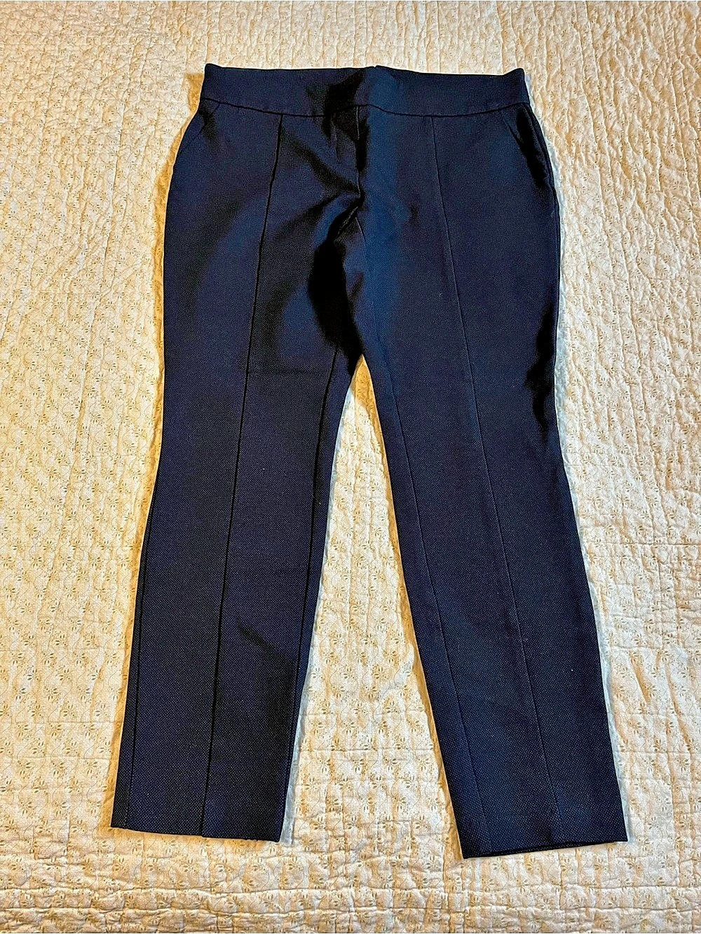 Hilary Radley Textured Slim Ankle Pants Straight Leg Pants in Black Size Large